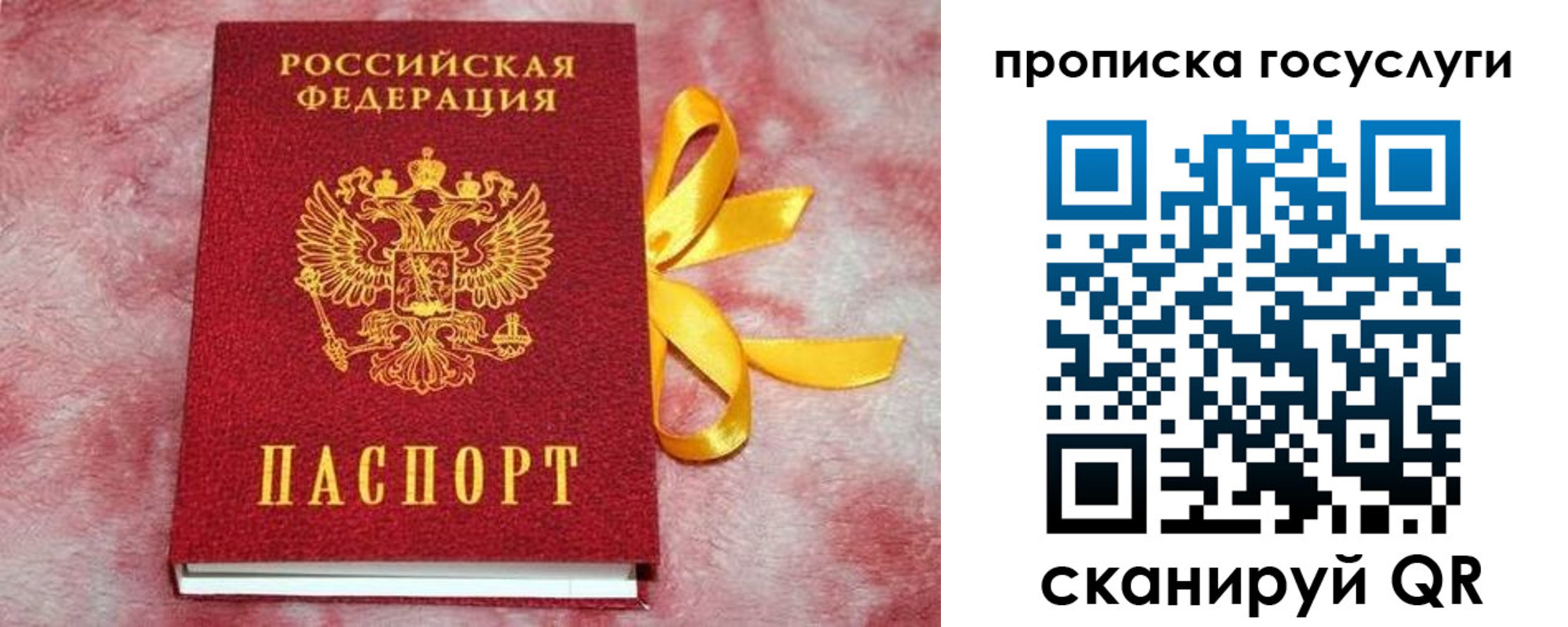 прописка законно в Галиче